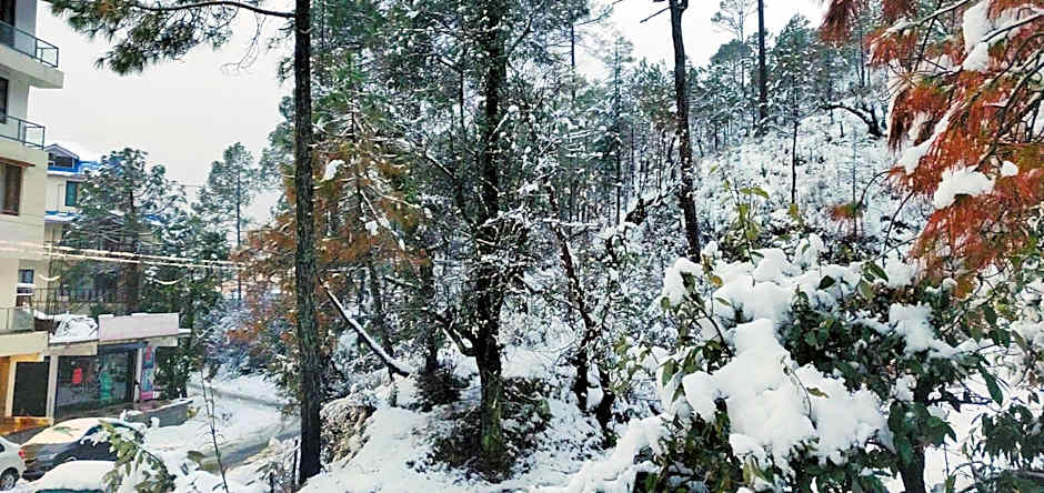 The Hoften Blue Magnets, Dalhousie