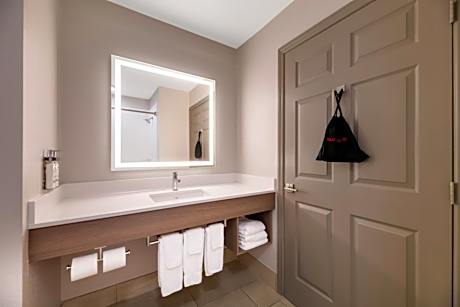 King Suite with Sofa Bed