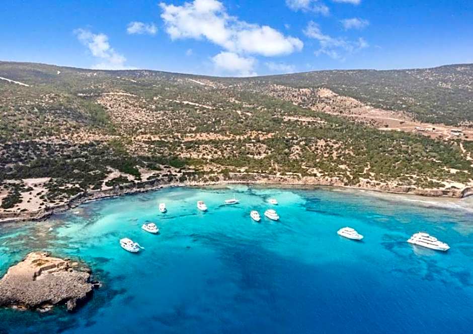 Olive Shared Pool Apartments