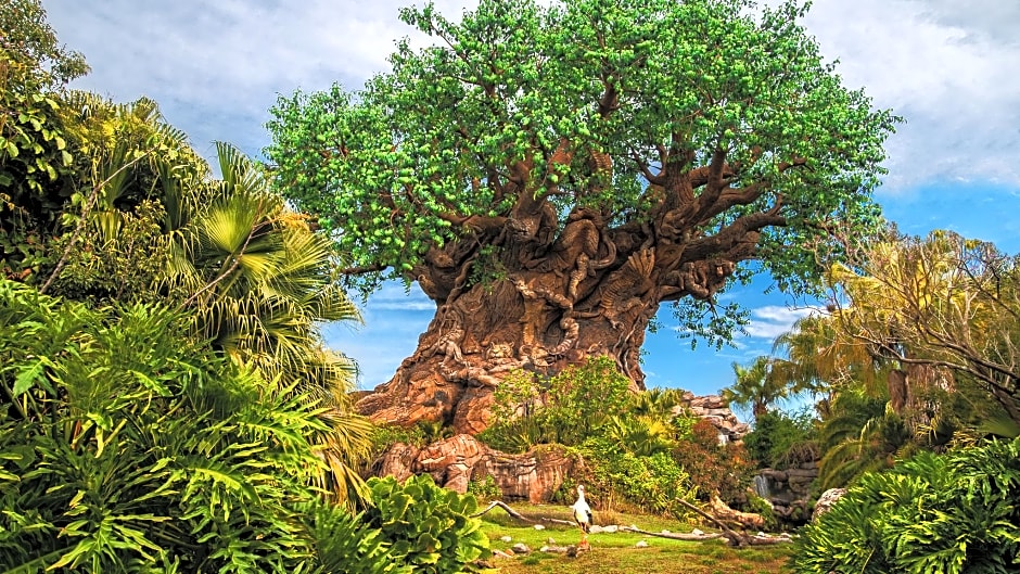 Disney's Animal Kingdom Villas - Jambo House