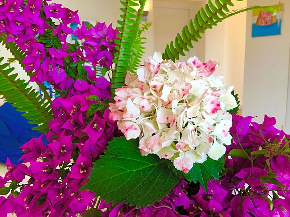 Agapanto Luxury Accommodation