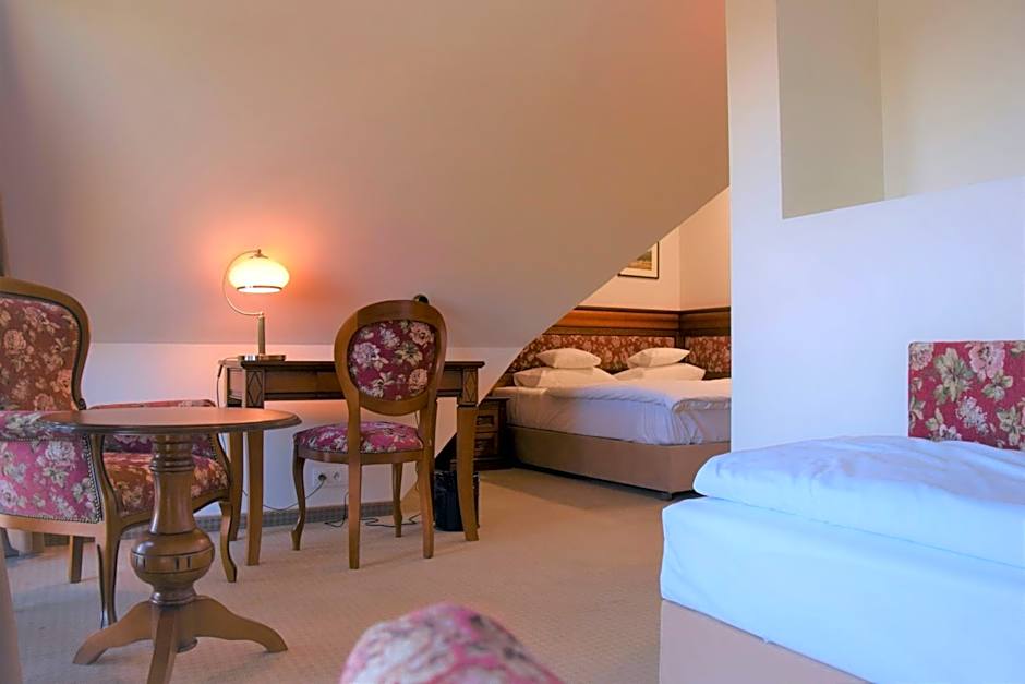 Hotel Paryski Art & Business Zakopane - Basen Jacuzzi Sauna Małpi Gaj