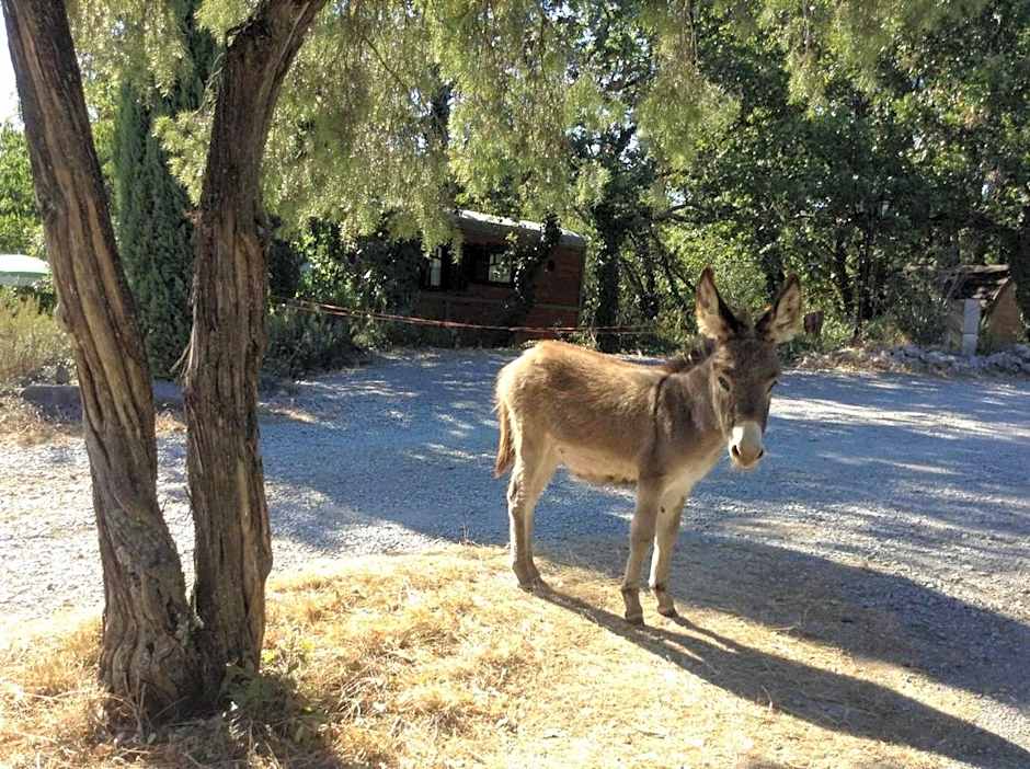 Suite Nid d'Amour et Spa privatif