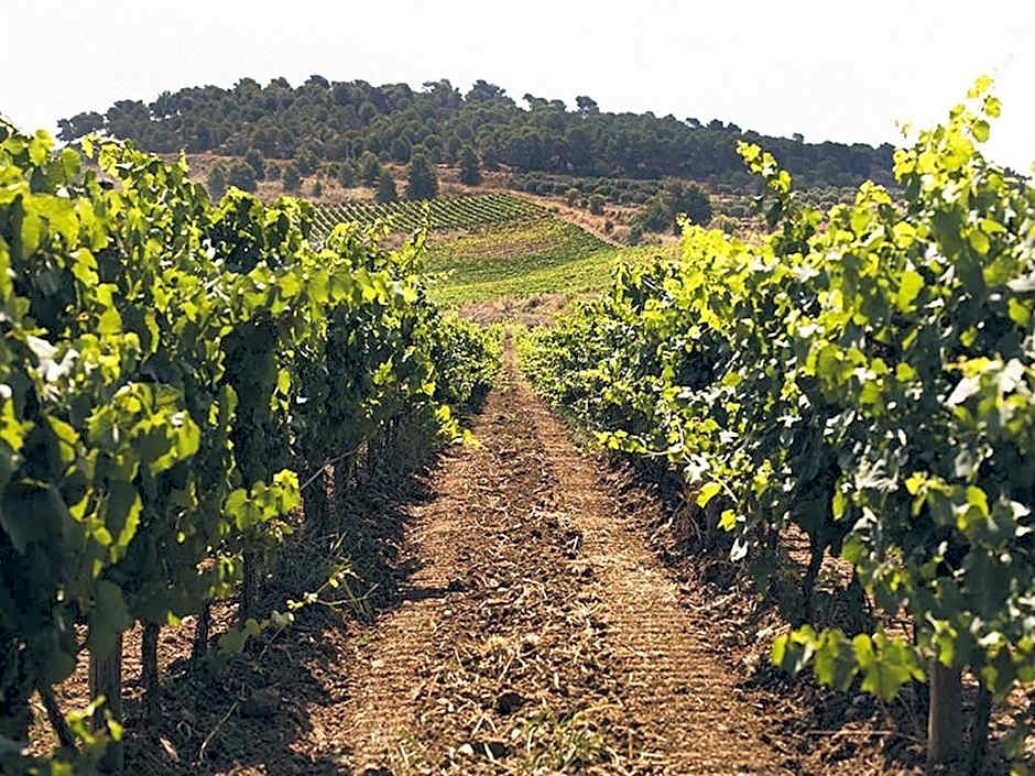 Baglio Caruana Cantina & Relais