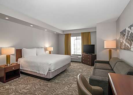 Suite, 1 King Bed with Sofa bed (Hearing Accessible) (1 King Bed and 1 Double Sofa Bed)