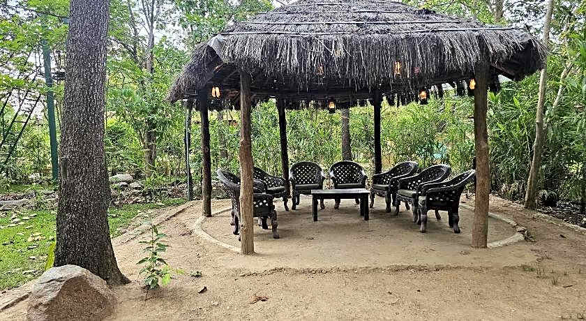 The Celebration Van Vilas