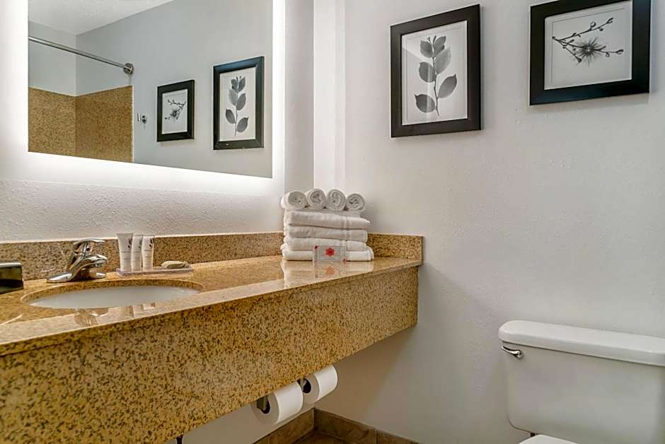 Country Inn & Suites by Radisson, Rossford - Toledo South