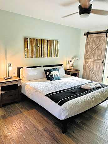 King Room with Roll-In Shower - Disability Access