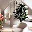 Hotel Abdij Dokkum
