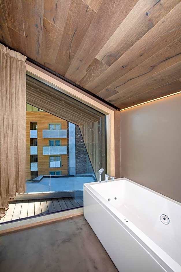 Bergman Mountain Hotel