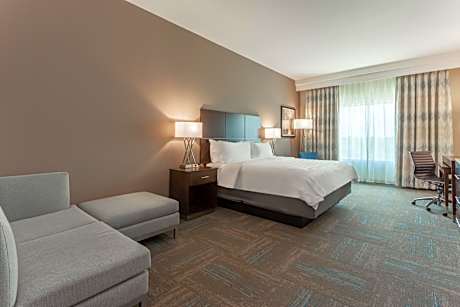 1 King Bed Suite