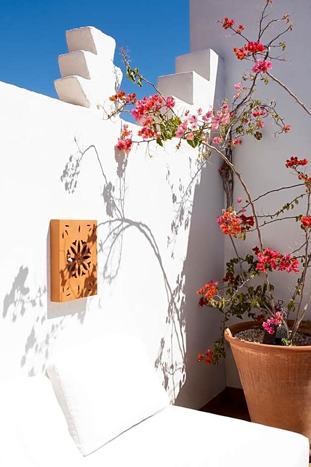 Riad Sashema