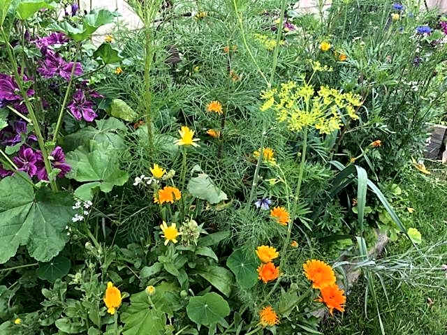 Les chambres d'hôtes de Pascale