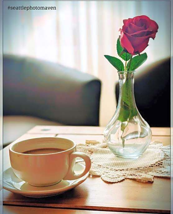 The Old Bank Bruff Family Town House