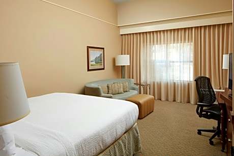 Superior King Room with Sofa Bed