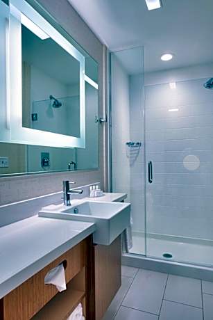 King Suite with Roll-In Shower and Sofa Bed - Mobility Access/Hearing Accessible