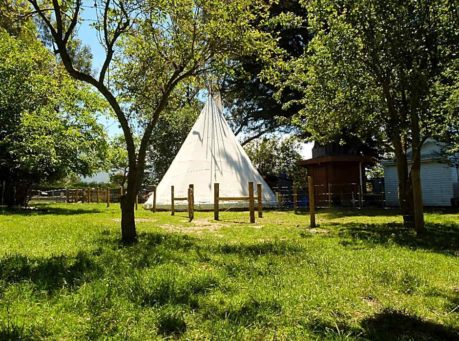 Wacky Stays - unique farm-stay glamping rentals, FREE animal feeding tours