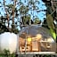 Bubble Lodge Bois Chéri Plantation