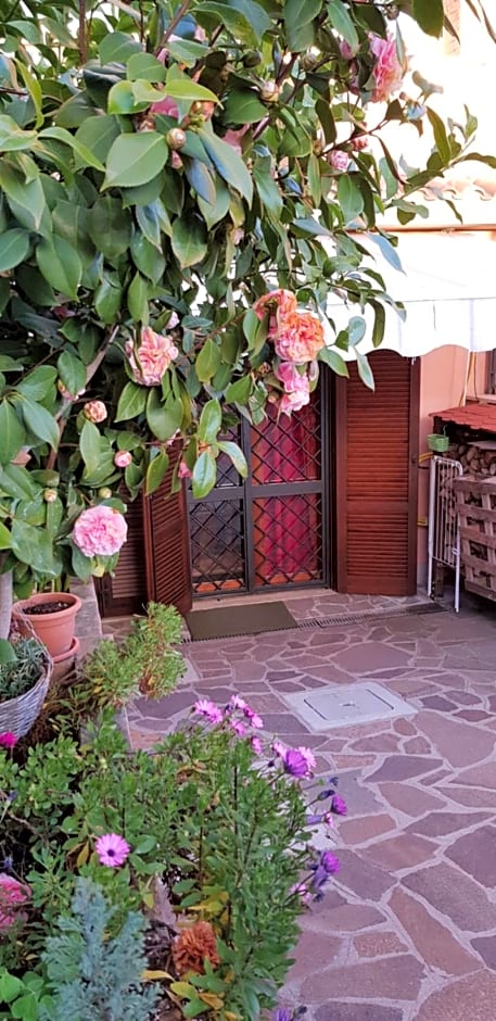 B&B Vista su Roma