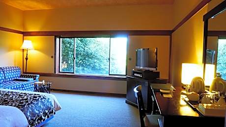 Superior Room - Non-Smoking