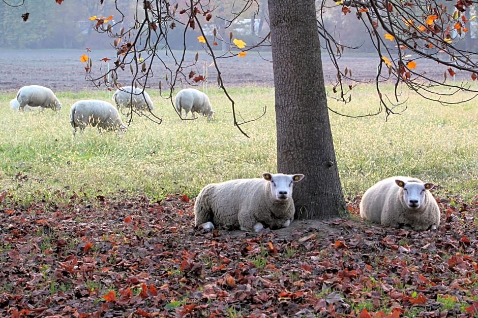 Agriturismo Il Torrione