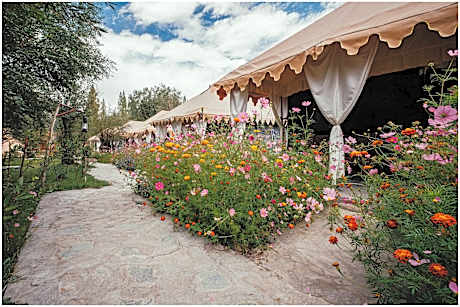 Nubra eco village