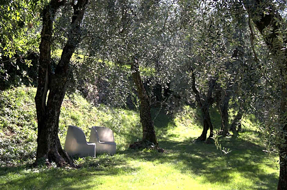 Guesthouse Grand View