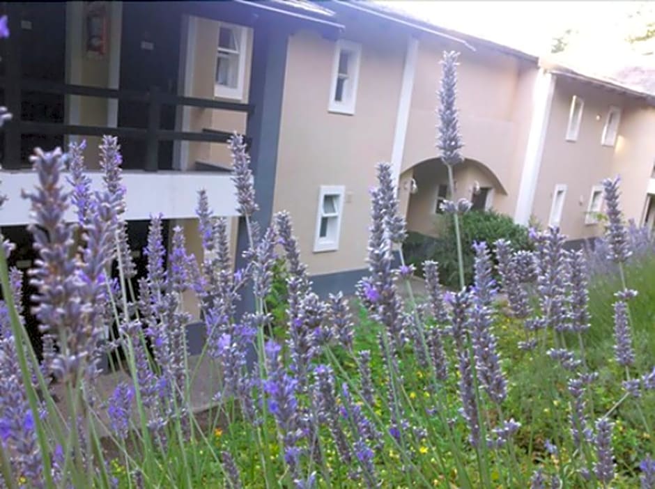 Aldea Andina Hotel&Spa