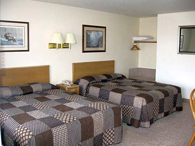 Little Bear Motel