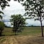 Vineyard Woods