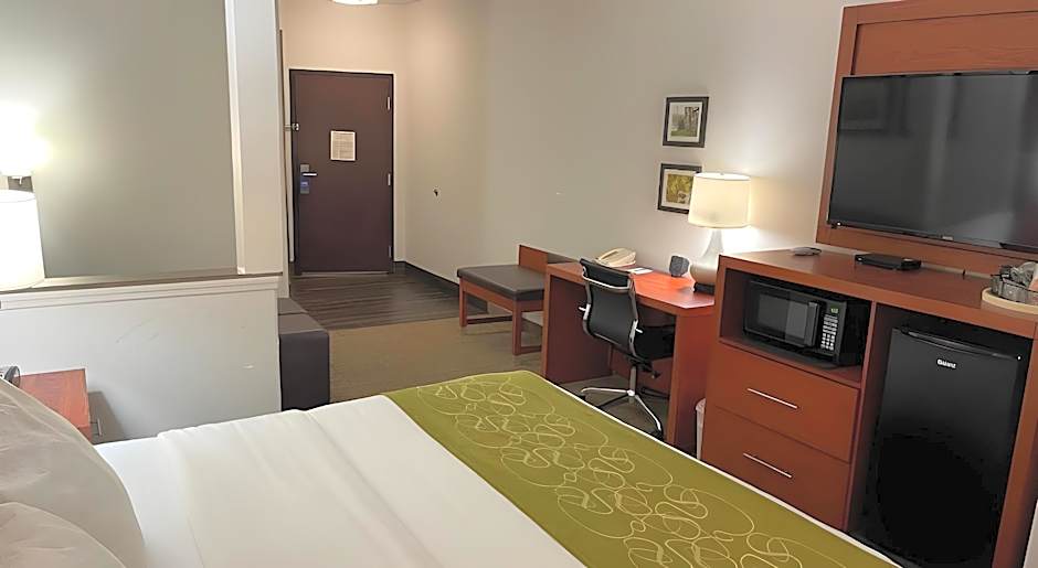 Comfort Suites Lake Charles