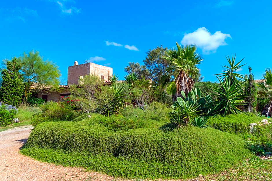 Villa Es Molí­ Des Trenc