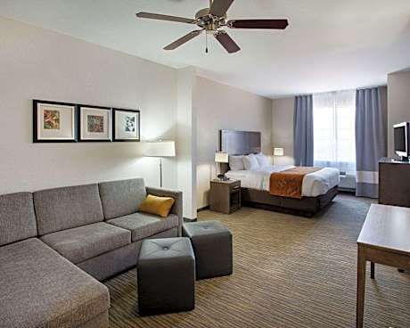 1 King Bed, Suite, Nonsmoking