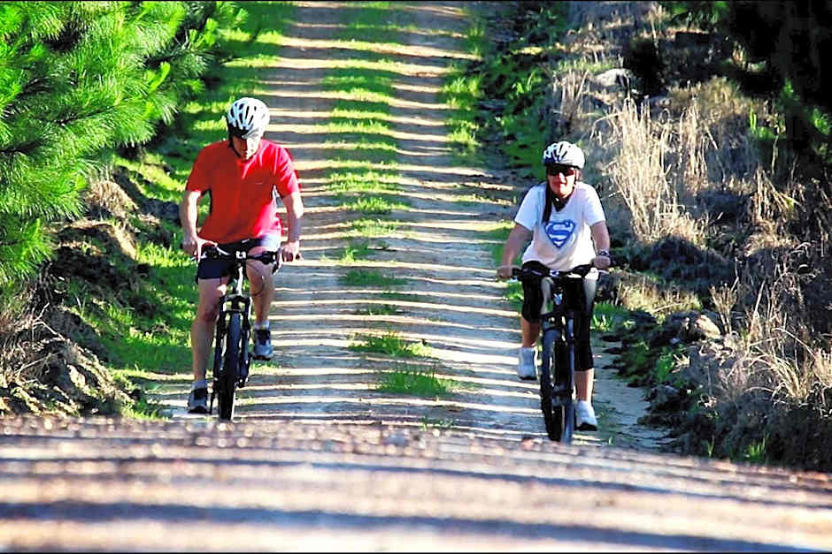 The Hive - Jungle at Misty Mountain Reserve