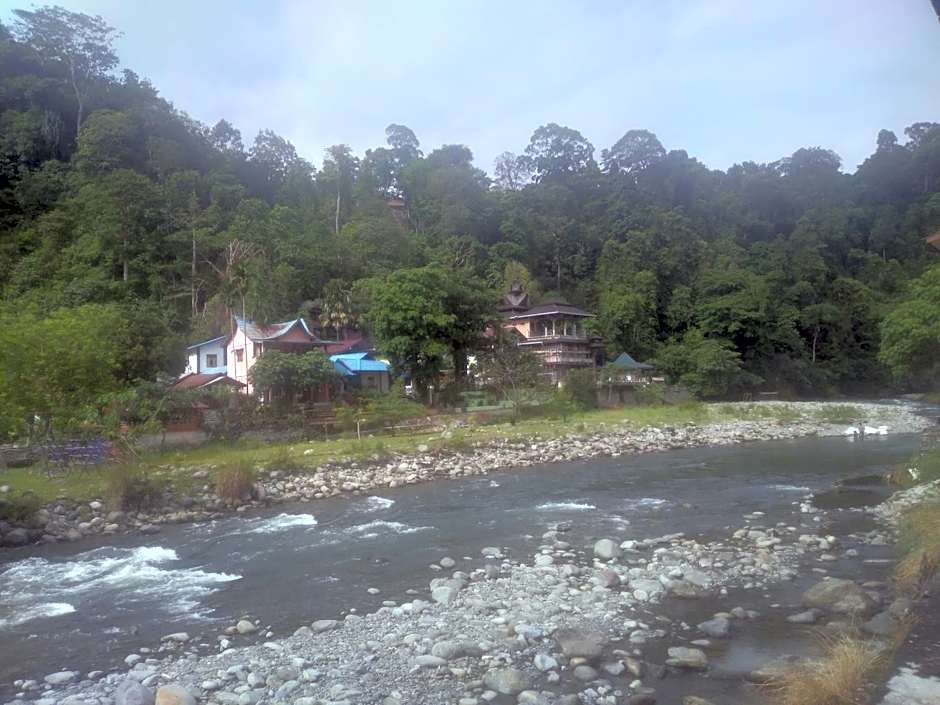 Umiyuki jungle tour only treking with us