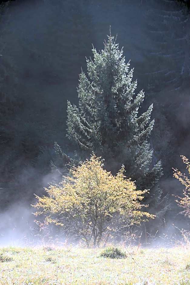 Au Coeur du Lapidaire