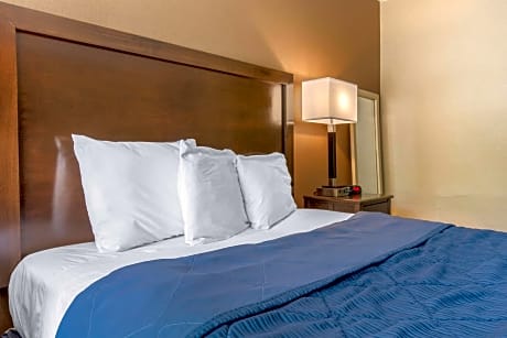 1 Queen Bed, Nonsmoking, Accessible