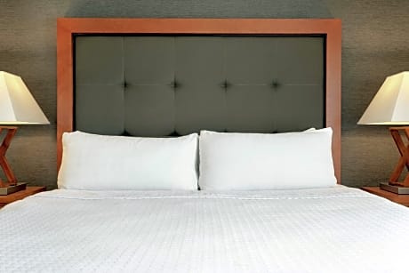 King Studio Suite