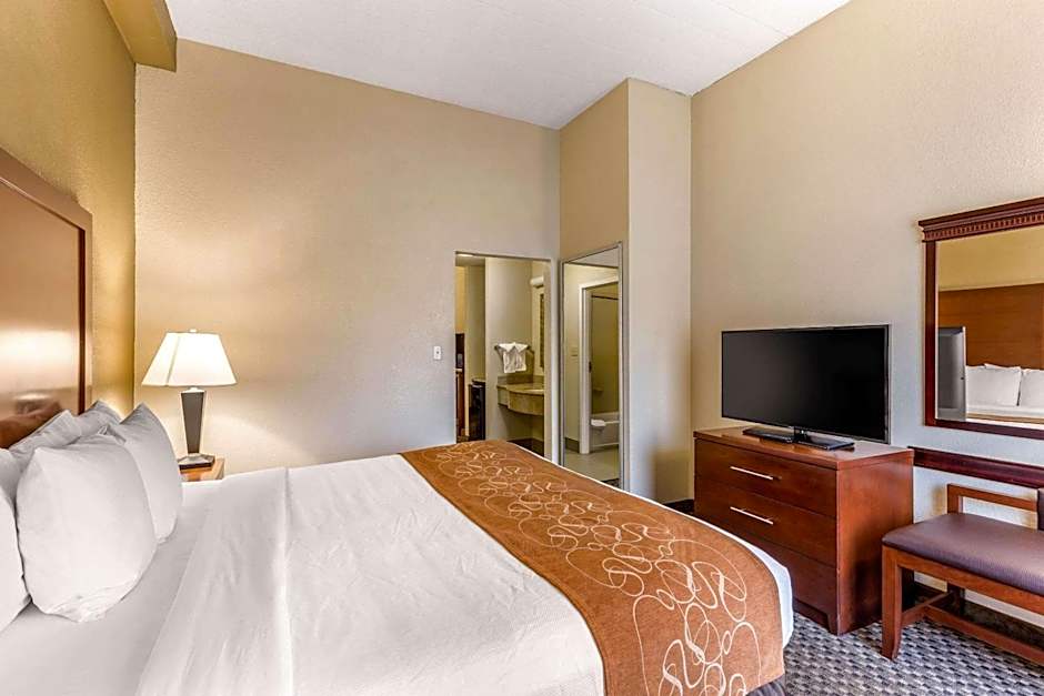 Comfort Suites Columbia Gateway