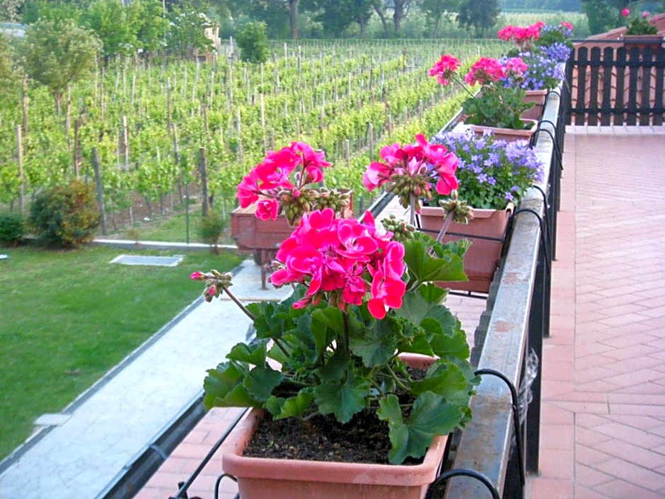 Agriturismo Grillo Iole Winery