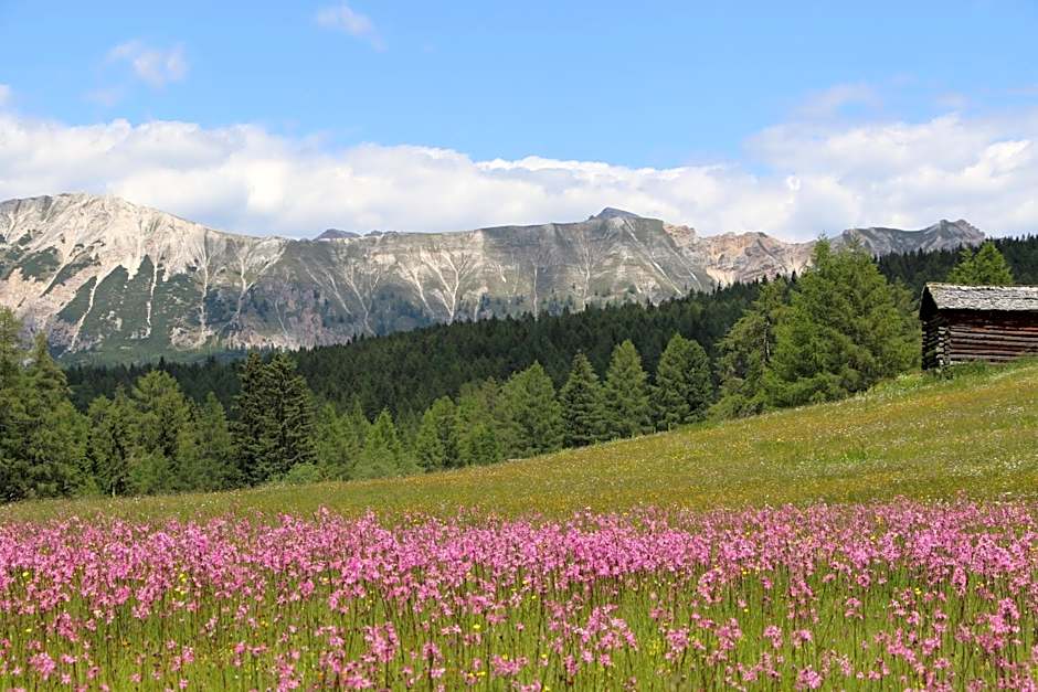 Hotel Alpenrose Dolomites
