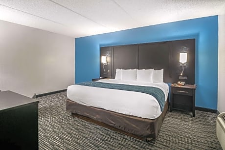 1 King Bed, Suite, Nonsmoking