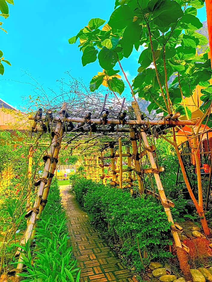 The Art - Golden Jungle House – Ha Giang, GA