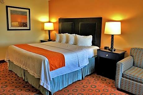 King Room - Non-Smoking