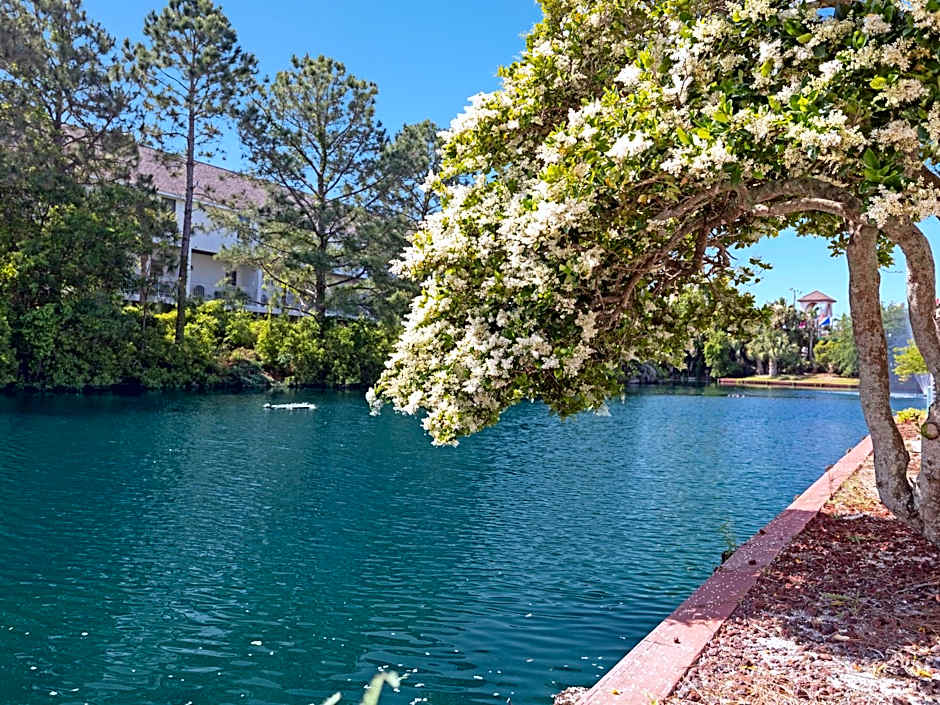 Charming Beach Studio With Pool & Sauna