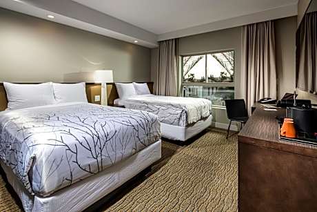 Standard Double Room with Two Double Beds