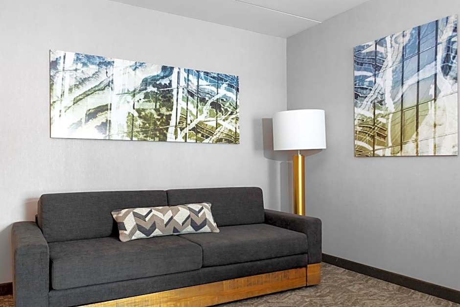 SpringHill Suites By Marriott Durham City View