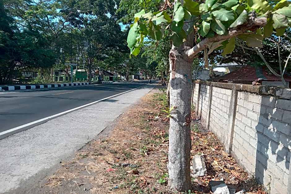 OYO Life 93015 Kos Anto