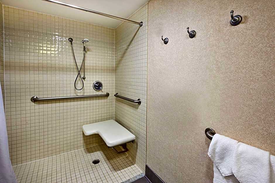 Hampton Inn By Hilton Washington-Dulles International Airport South