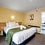 Fenton Court Motel